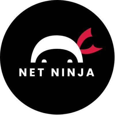 The Net Ninja